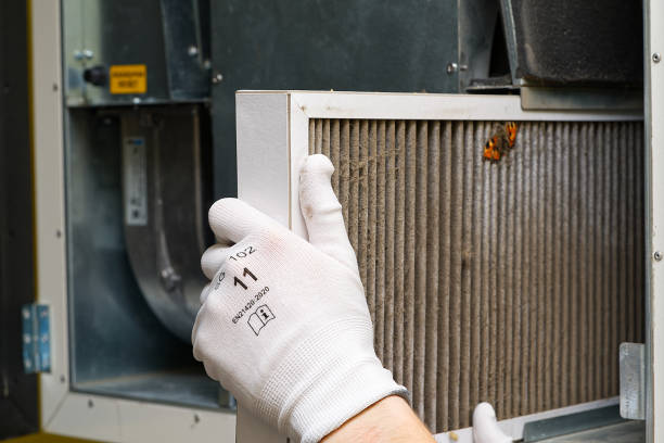Best Affordable HVAC Duct Cleaning  in Trevorton, PA