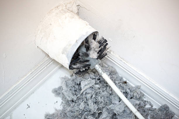 Best HVAC System Cleaning  in Trevorton, PA
